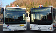 Bus Erscheinungsbild